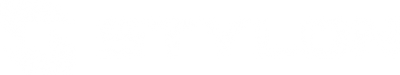Stylon